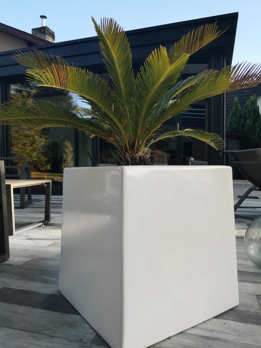 Jardinière cubique - CUBEO